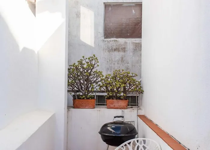 - Light Filled With Terrace